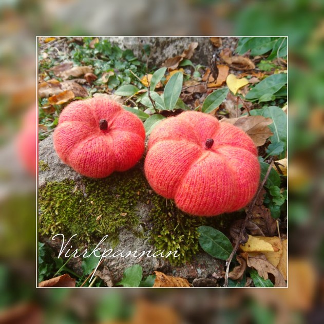 IMG_20171021_114444_432